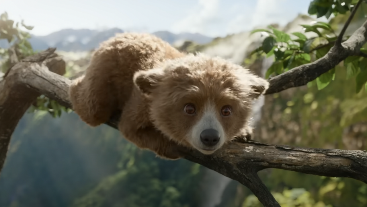 Paddington In Peru
