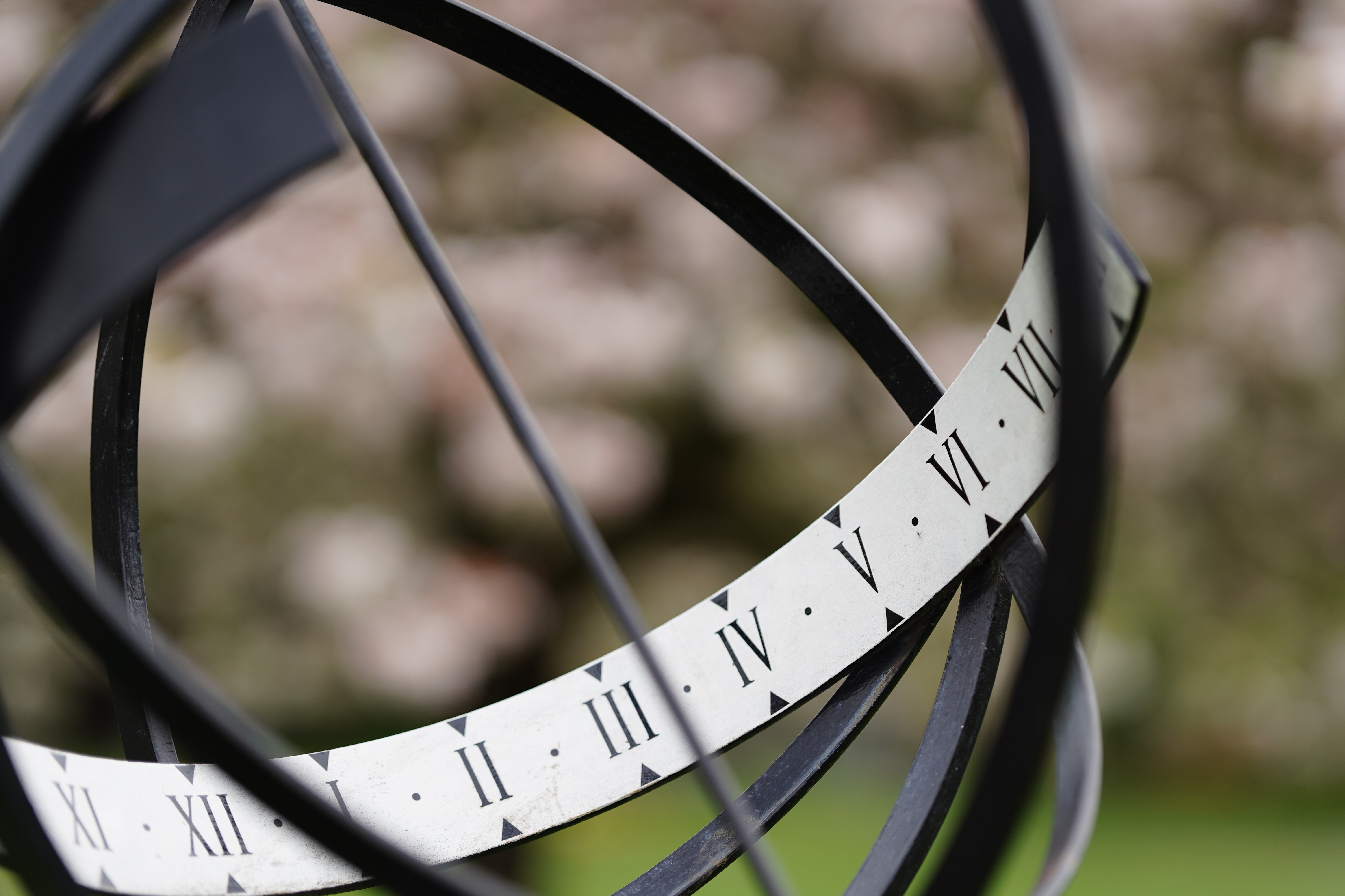 Meike AF 85mm f/1.8 SE II sample image