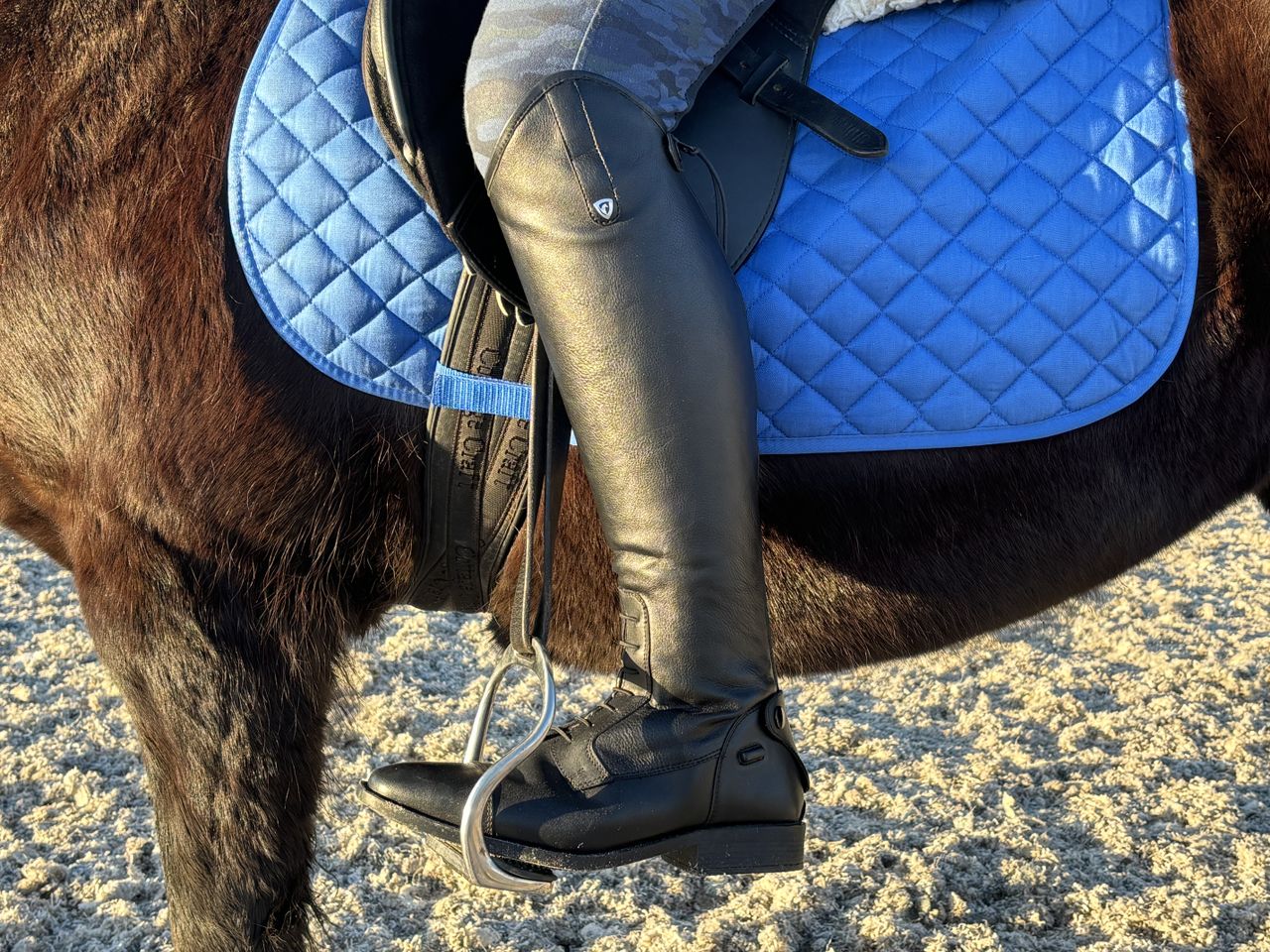 Hy Equestrian Sorrento Field Riding Boots