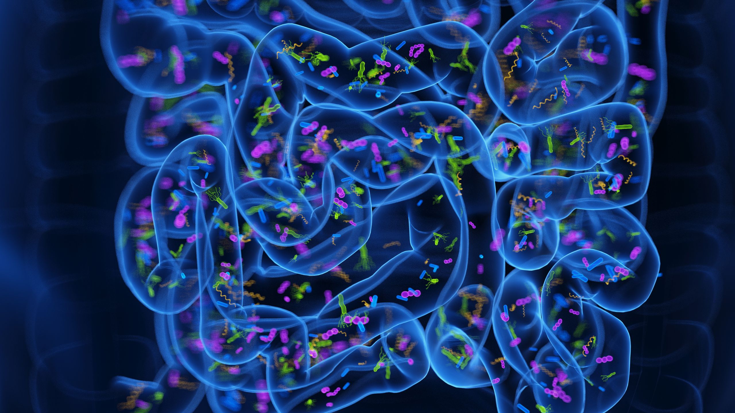 ‘Poop pills’ may ease insomnia by reprogramming the gut microbiome, early study hints