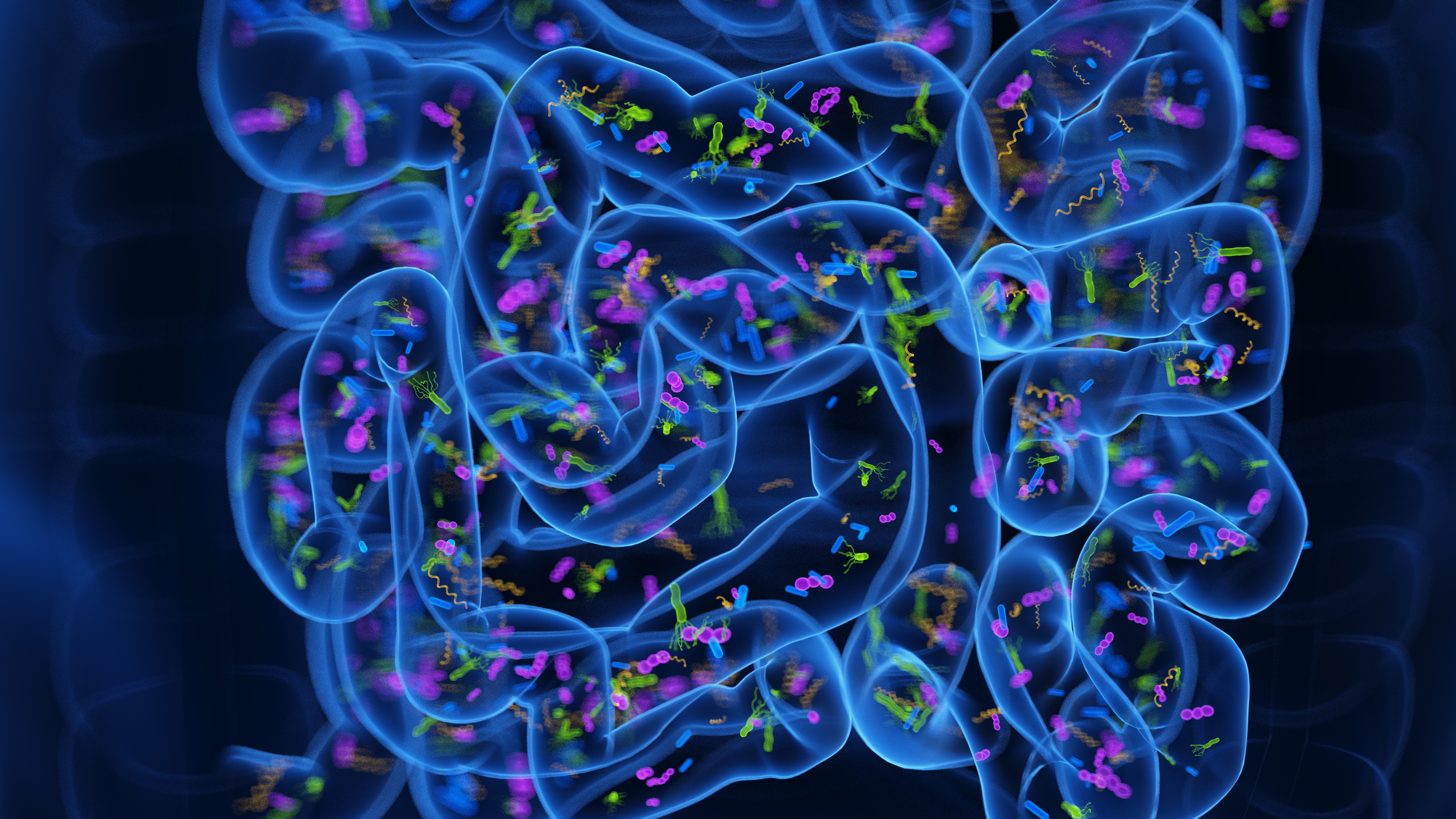 illustration of colorful microbes in a small intestine 