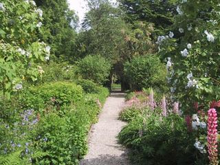 Achamore Gardens