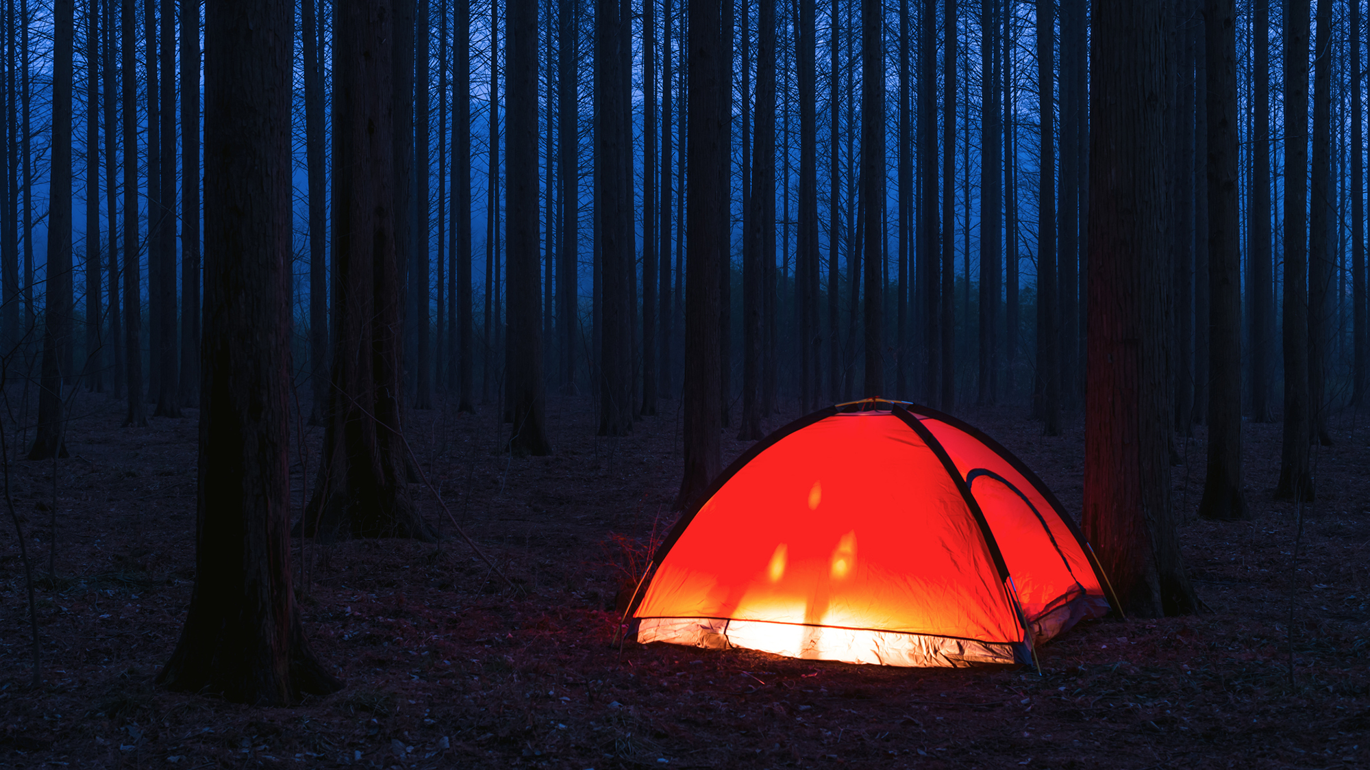 A red tent glows with internal light in the middle of a dark forest.