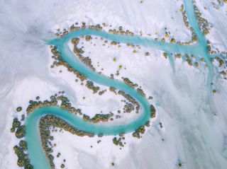 A stunning river lined by mangrove trees