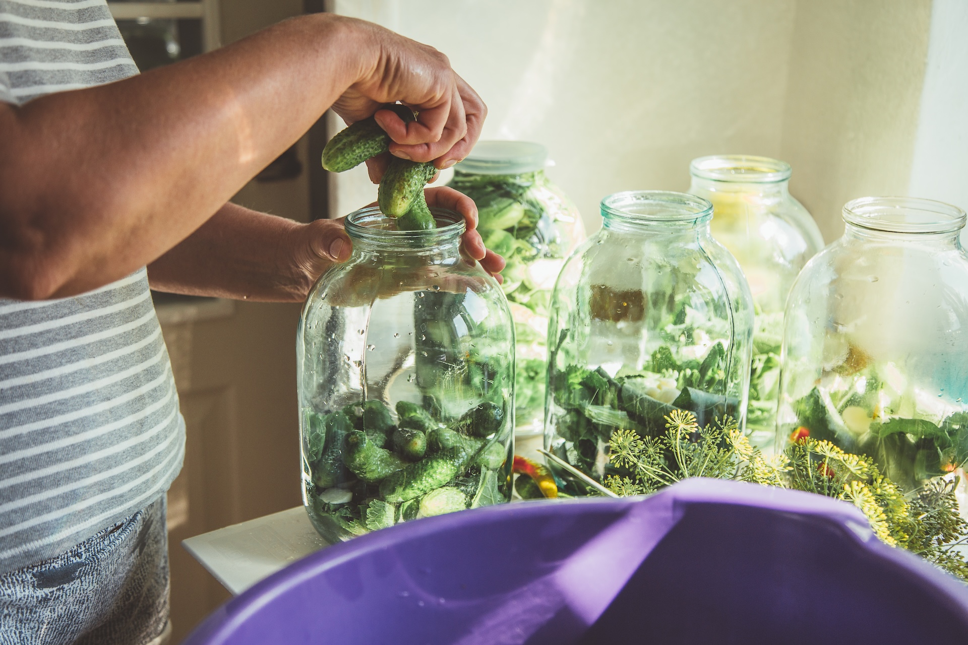 Jars of homemade preserves - marinated cucumbers. Pickles preparation.