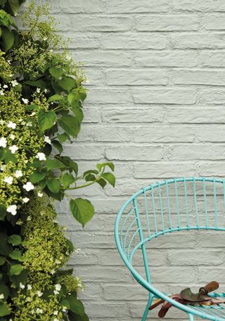 white exterior wall paint on a brick wall behind a chair and growing plants