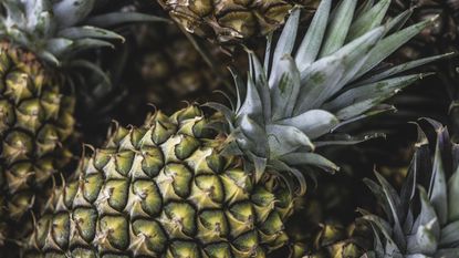 Harvested pineapples 