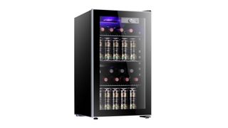 Antarctic INAS90 Wine Cooler review