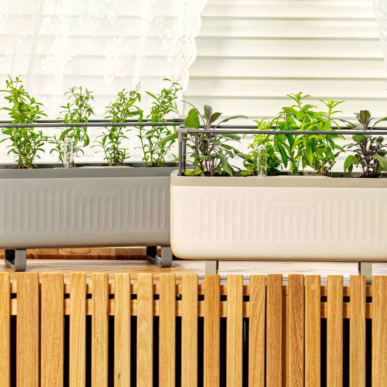 Vego EZ herb planter box with herb plants