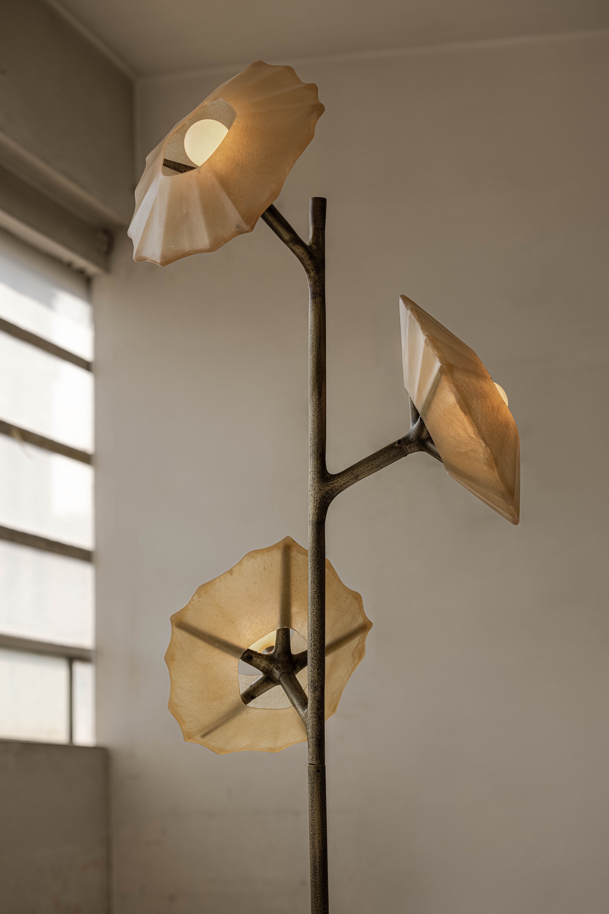 Salina Collection Federico Stefanovich