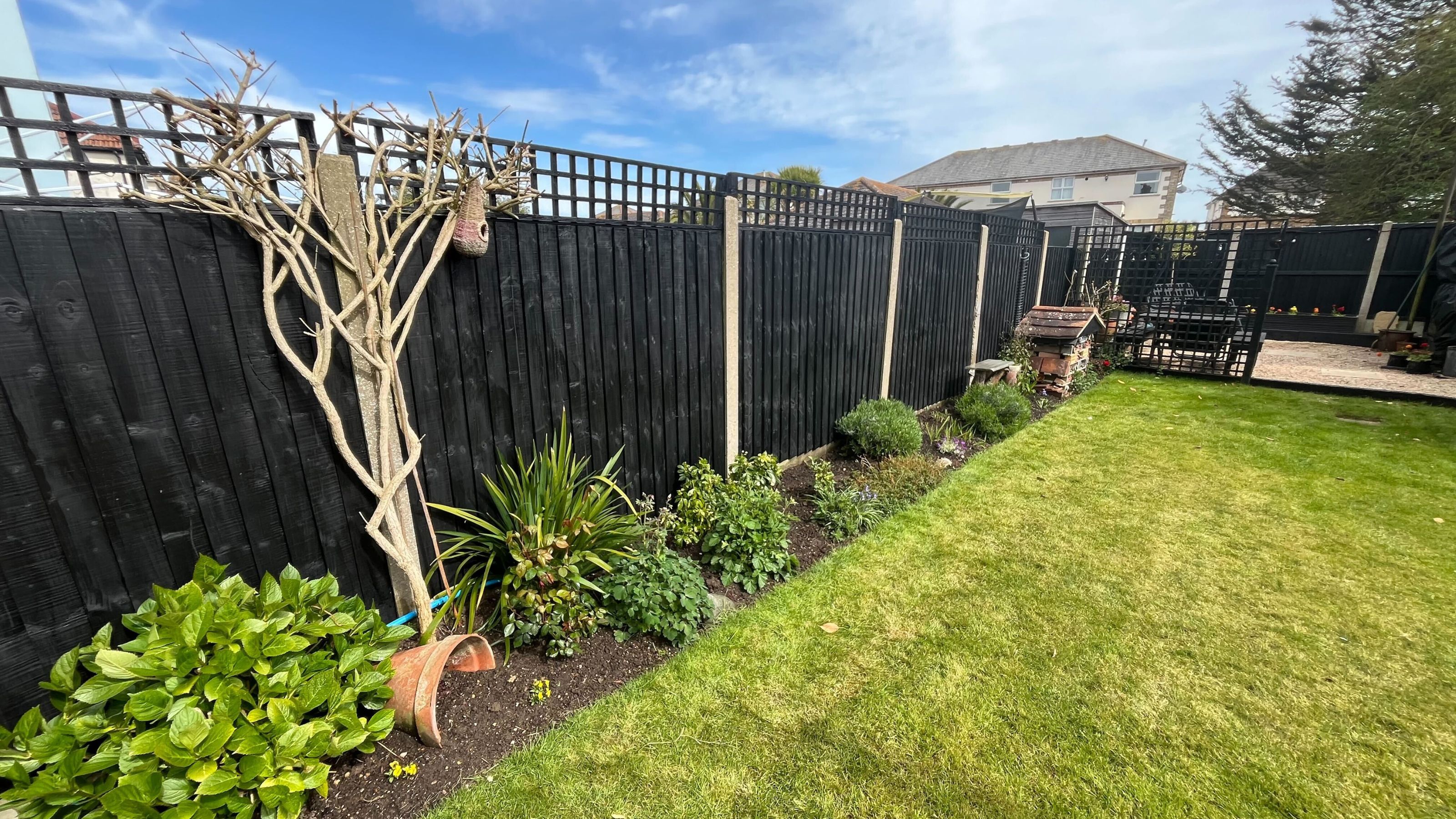 Black painted fence lining garden border with plants