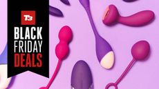 Lovehoney Black Friday sale, sex toy deals
