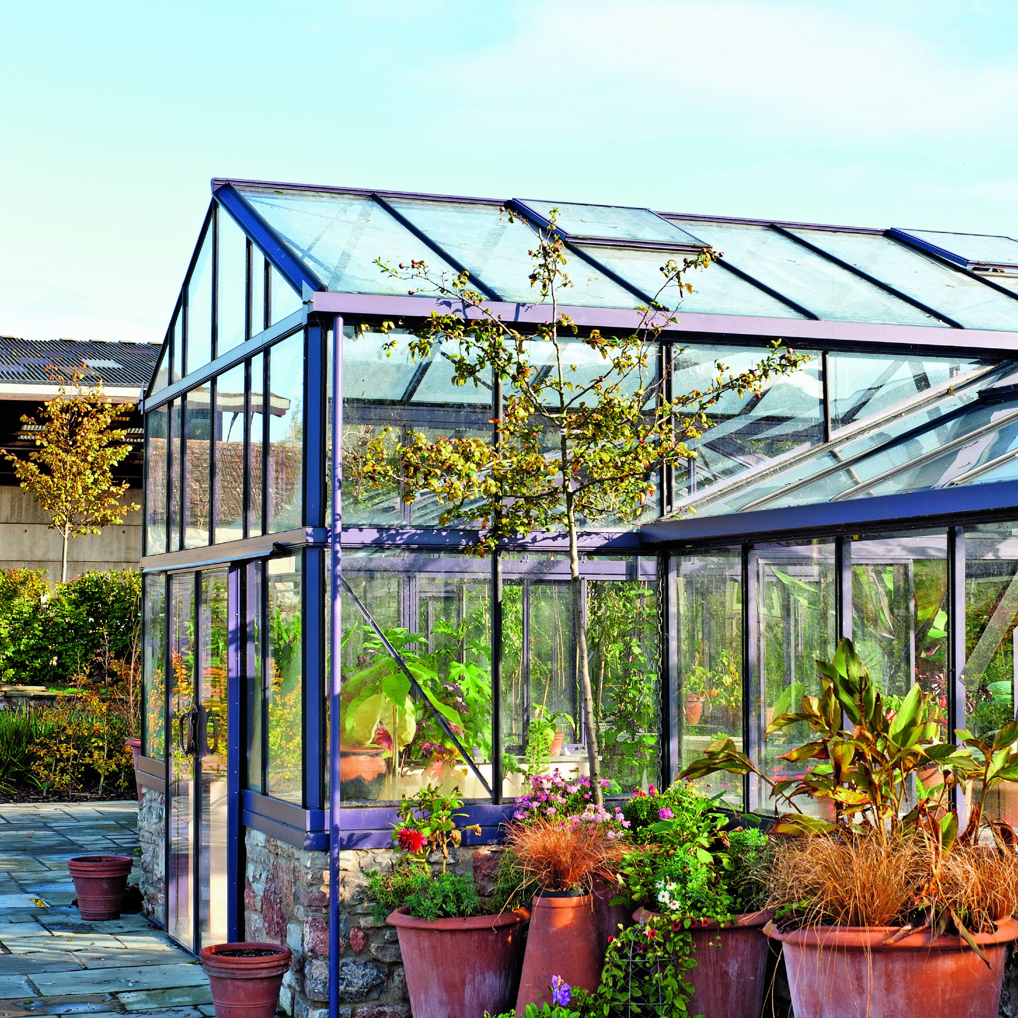 A greenhouse with a path and large plant  pots next to it