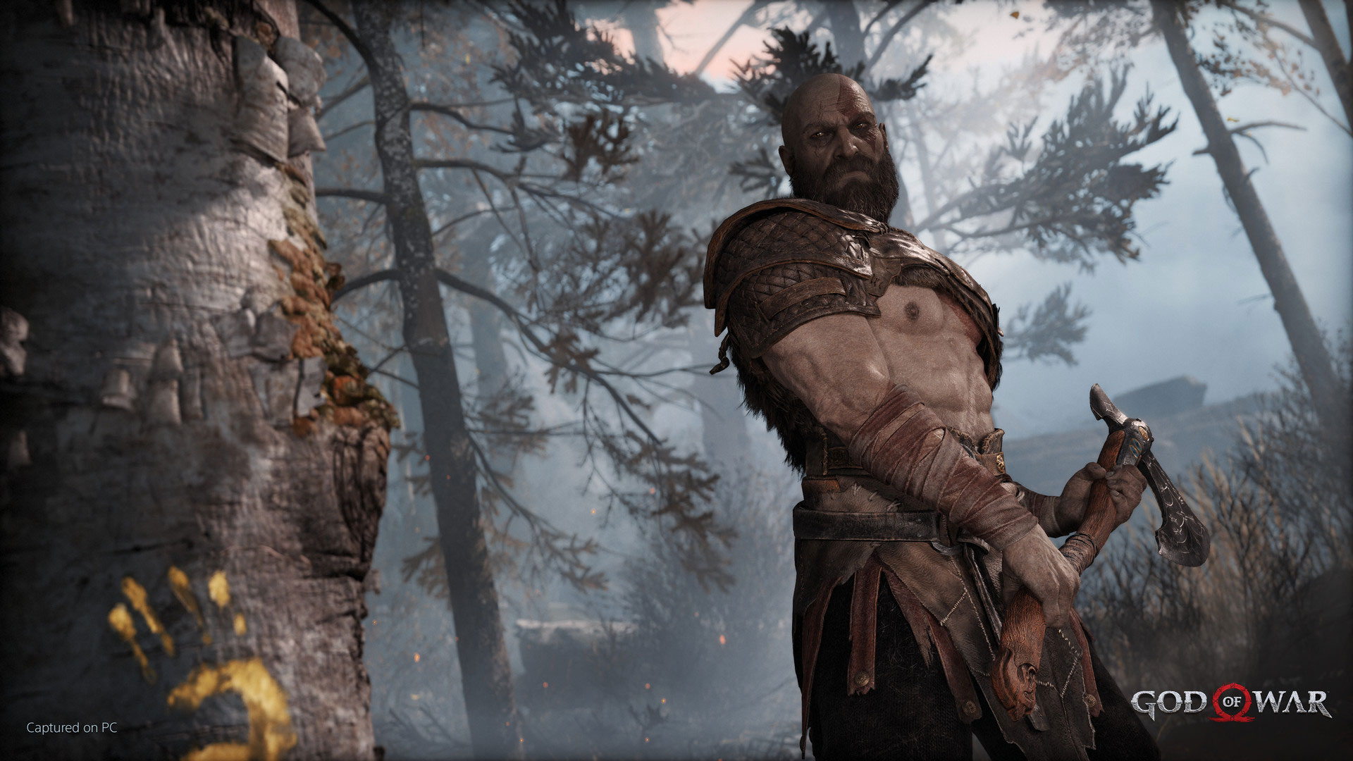 Wish God Of War on PC had this option to switch between which