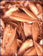 C75EA6EC-20DE-420B-9963-900A9AFA8022.jpg