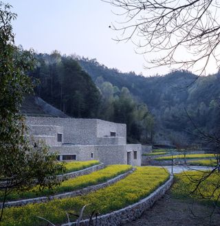 The stepped green earth terraces of the Qingxi Culture and History Museum b
