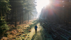 A man running alone through a forest