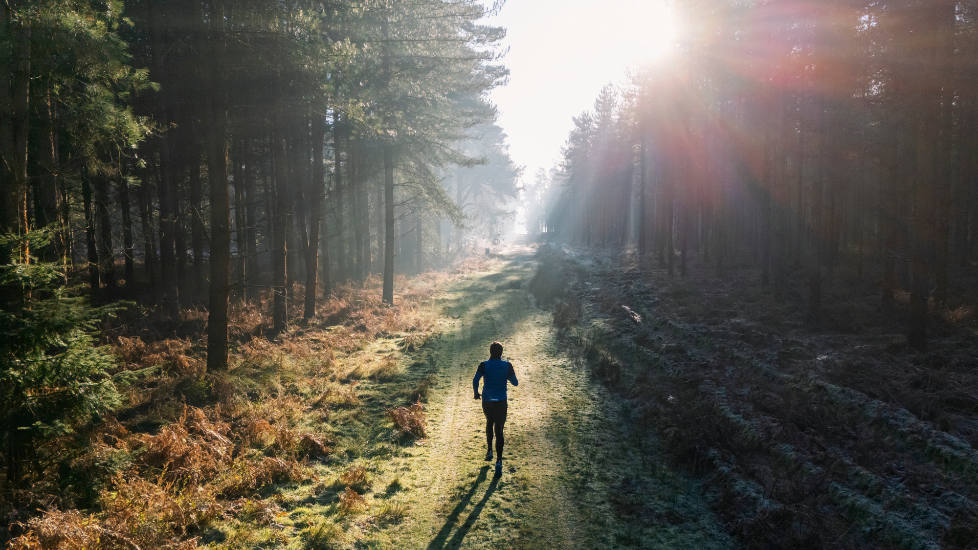 A man running alone through a forest