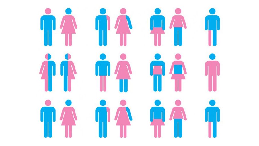 a graphic showing gender variations