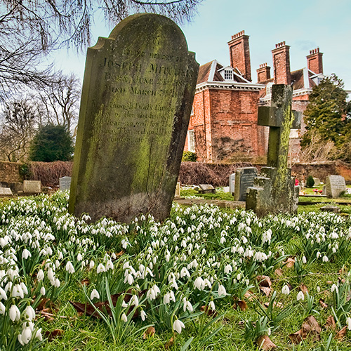 gravestone with grass