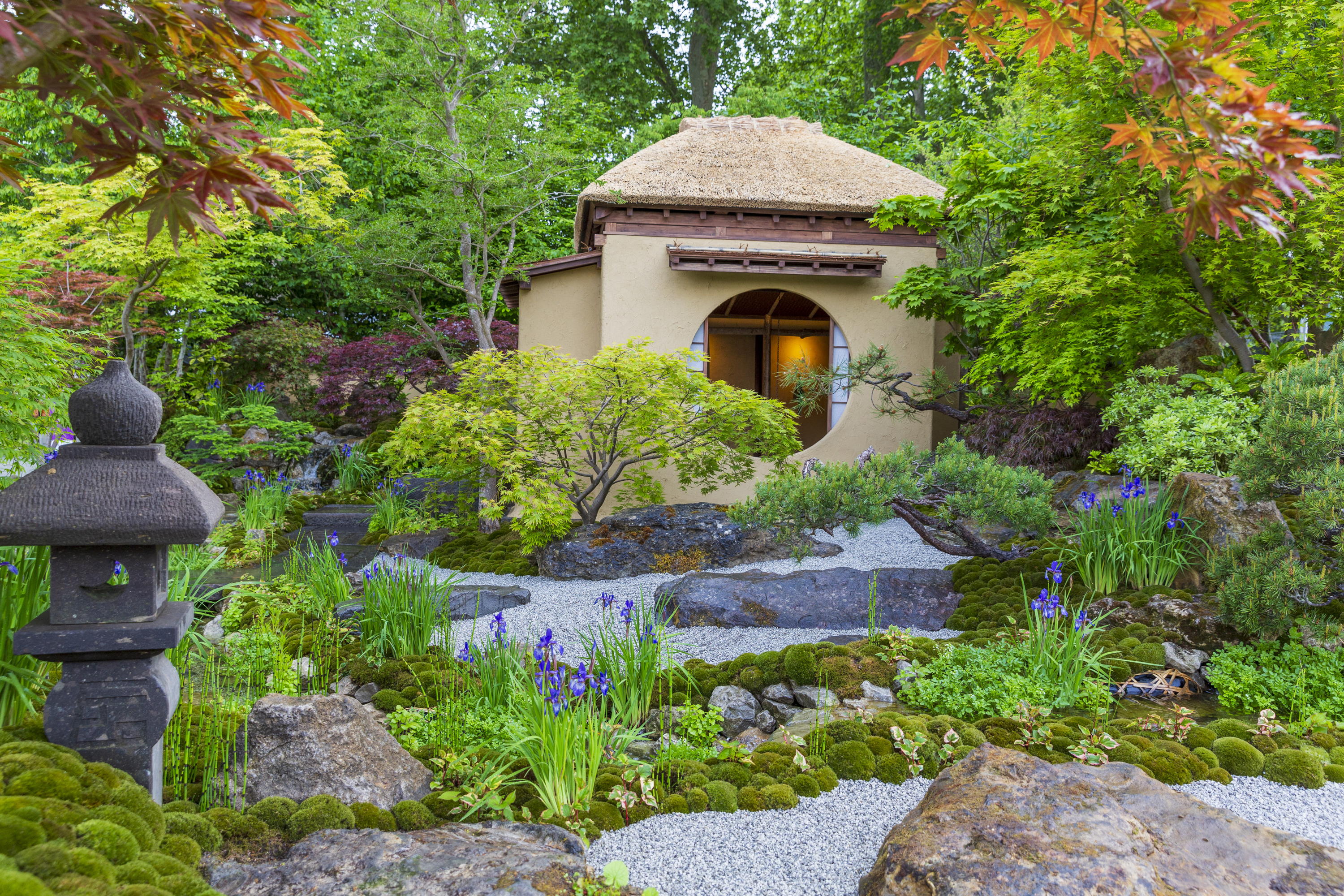 Cha no Niwa - Japanese Tea Garden at RHS Chelsea Flower Show 2025