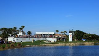 A view of a green from the Honda Classic