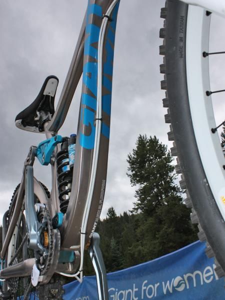 The full-length housing is routed along the down tube.