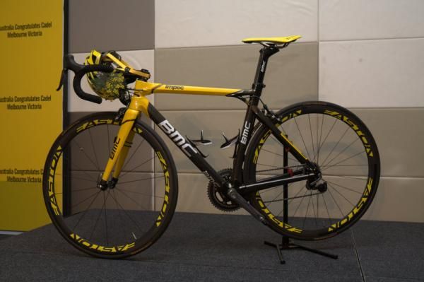Evans' BMC Time Machine complete with a sprig of wattle