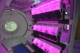 Sierra Nevada Corp.'s Astro Garden concept inside the company's Lunar Gateway ground prototype at NASA's Johnson Space Center in Houston on Aug. 21, 2019.