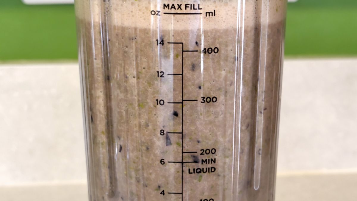 Ninja Blast Max blender