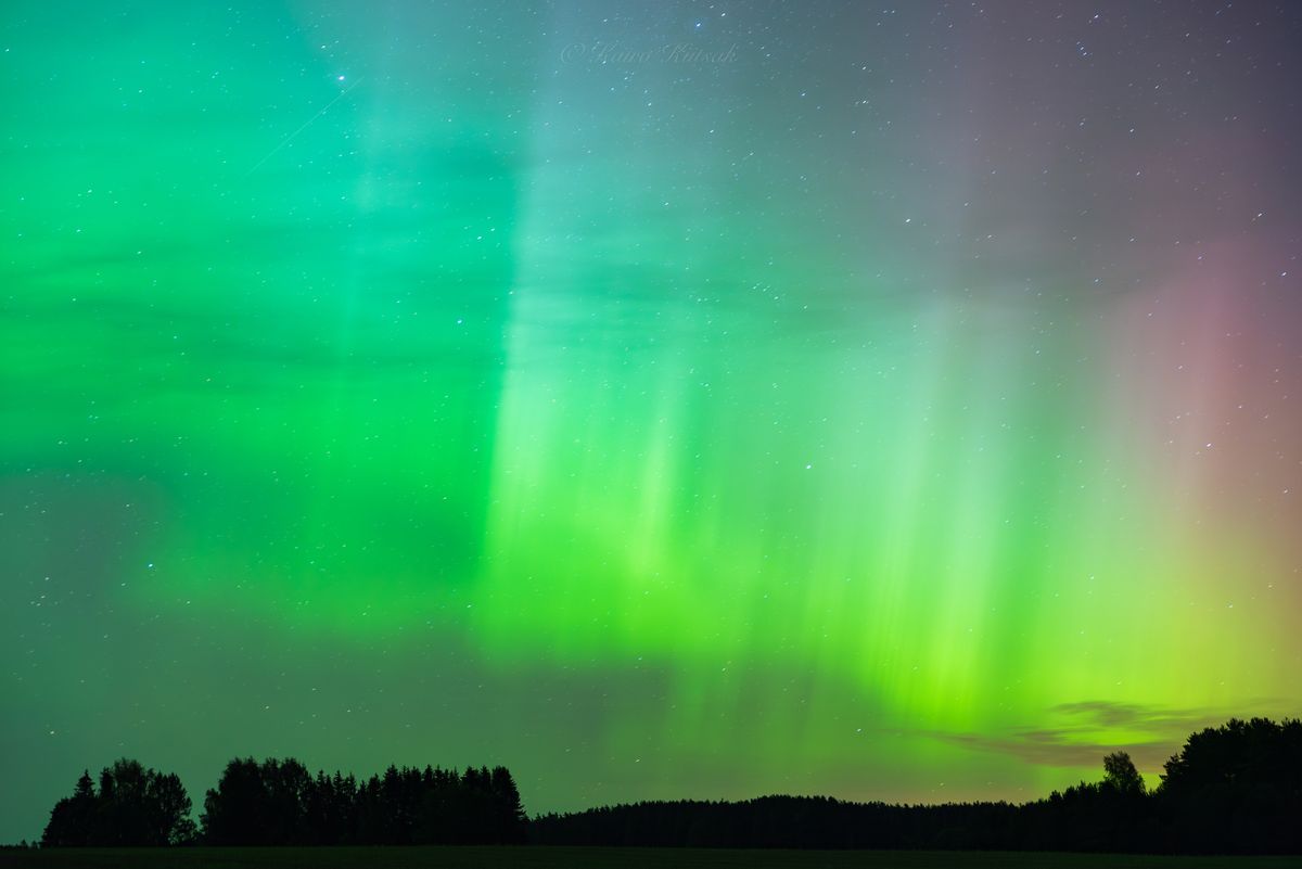 Aurora borealis photographed by Kairo Kiitsak, Estronia.