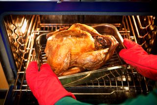 Roast turkey in the oven