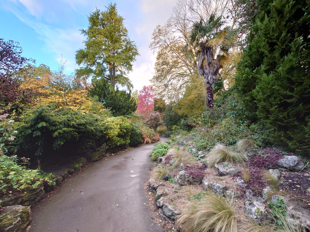 The Sony Xperia 5 II's ultra wide camera