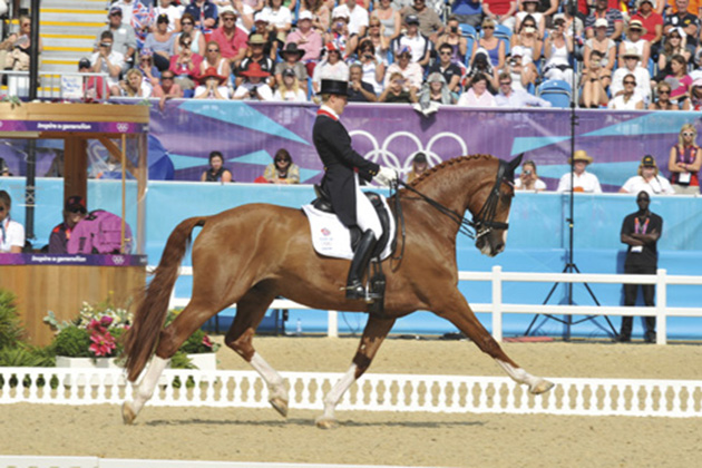 In December 2013, Laura officially retired ‘Alf’ from competition in front of a packed house at the London International Horse Show at Olympia