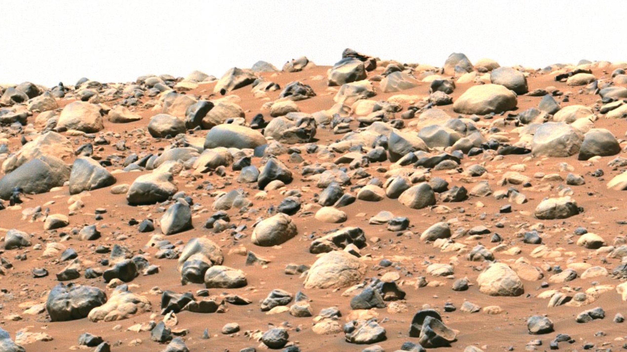 Un morceau de terre martienne rouge parsemée de gros rochers.