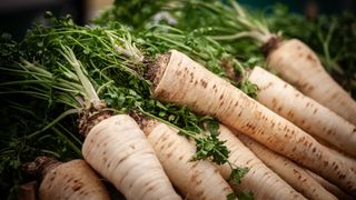 Pile of parsnips