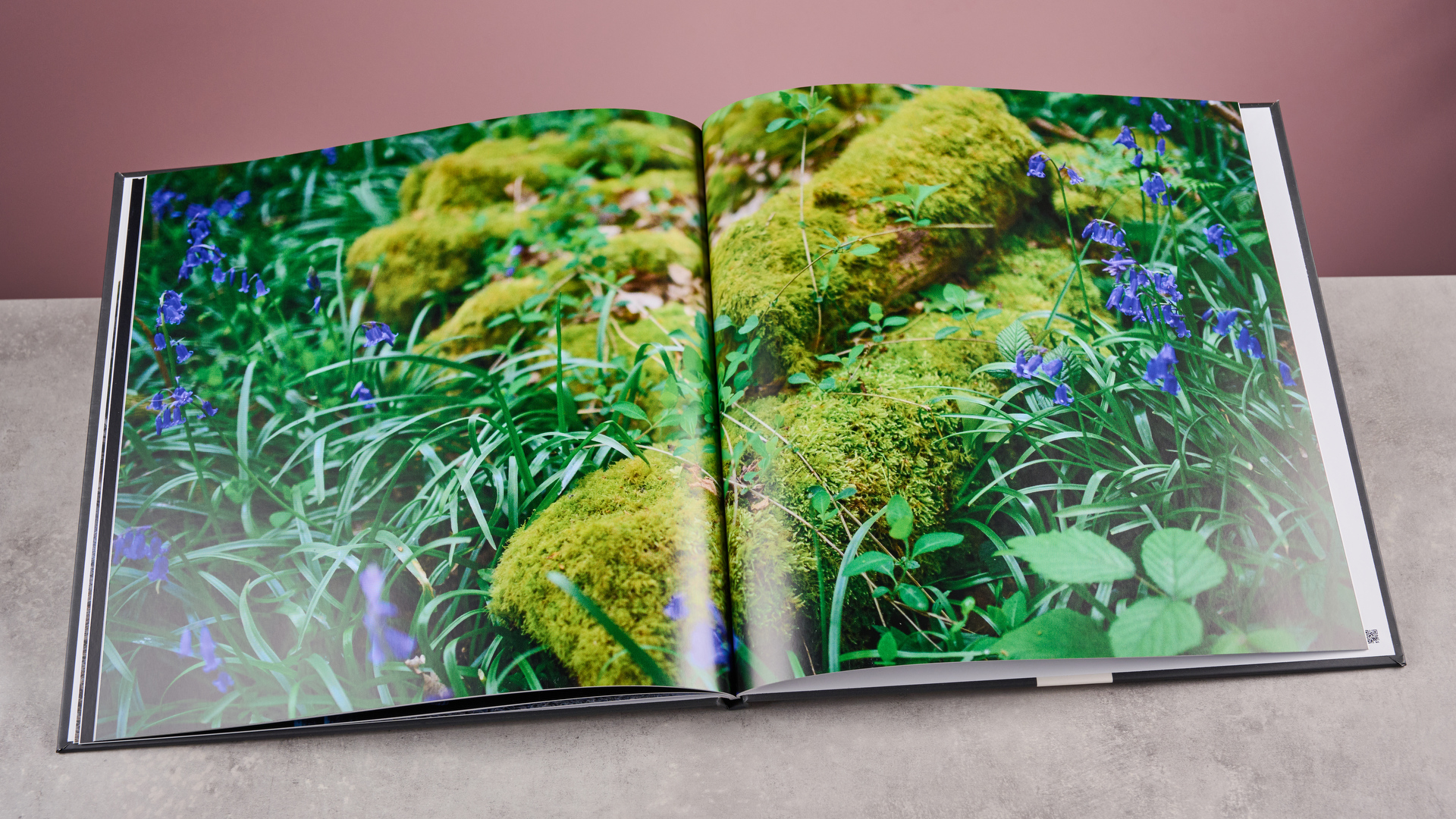 A page from the TechRadar Papier photo book, showing mossy logs in a bluebell wood.