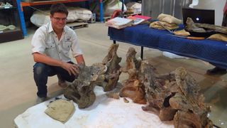 Sauropod bones from Australia