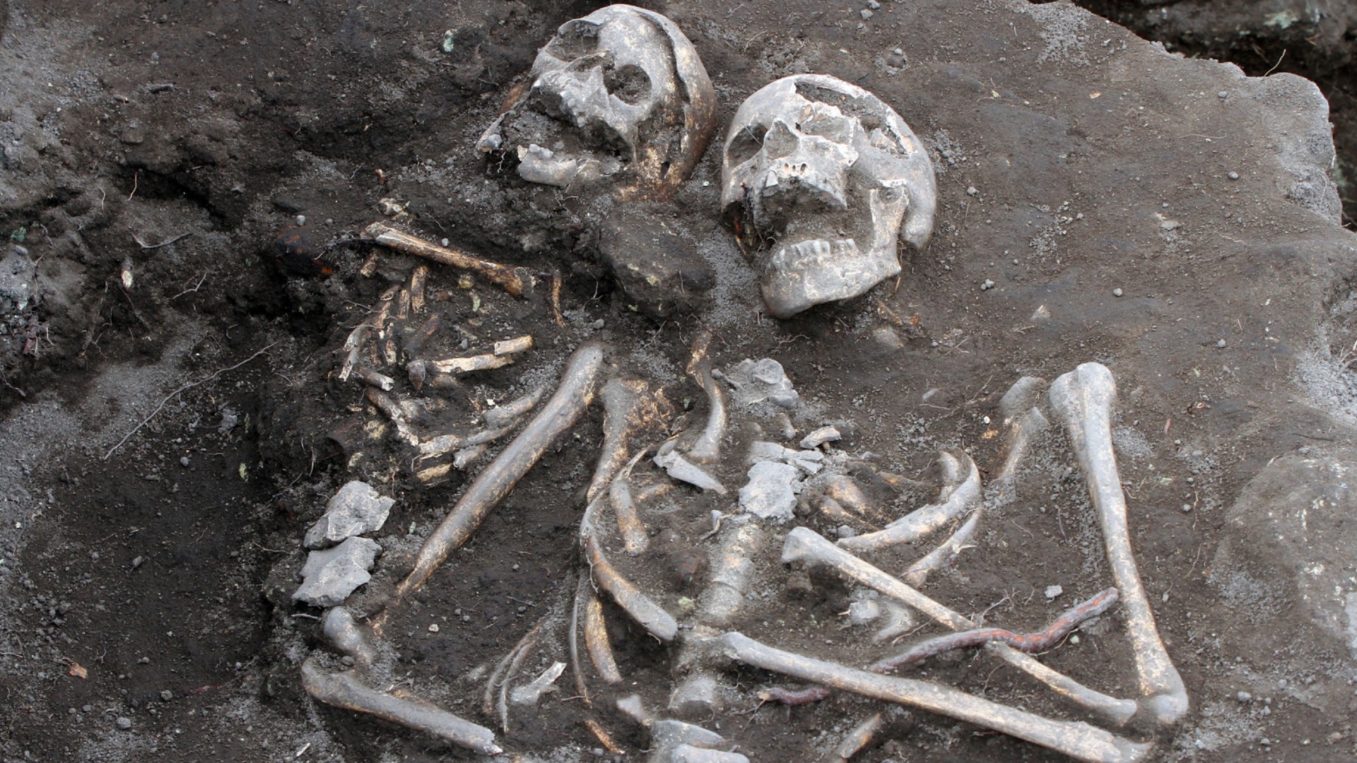 A grave with two skeletons together pinned down with an iron rod as they were believed to be vampires.