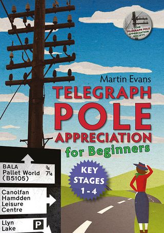 The Telegraph Pole Appreciation society book