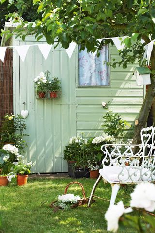 shed ideas: green shed