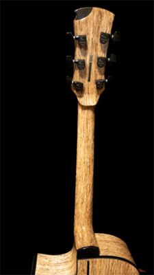 JOI Guitars hemp wood acoustic