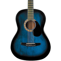 Rogue Starter Acoustic: $79, now $59