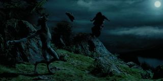Remus Lupin as a werewolf