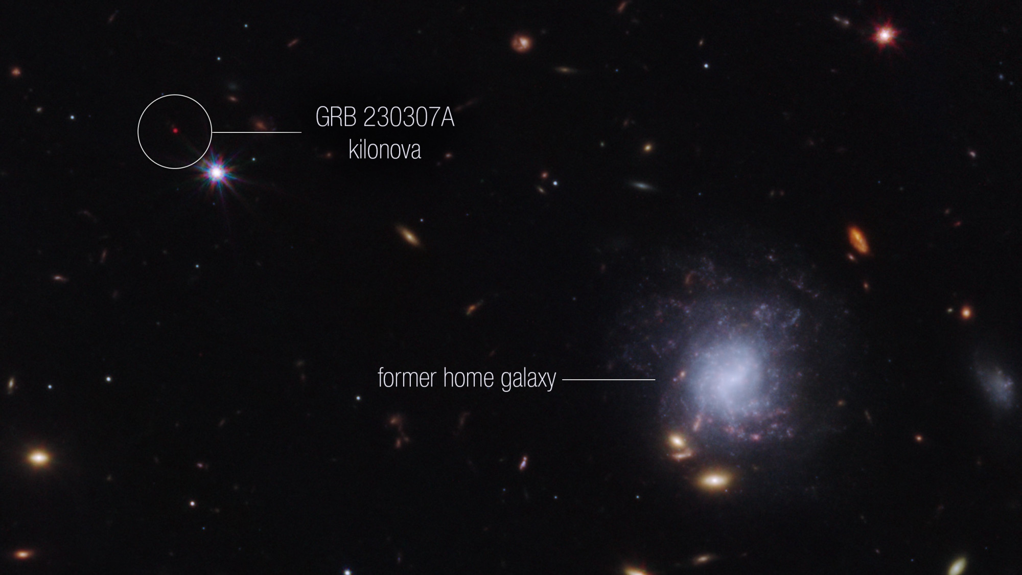 James Webb Space Telescope finds rare heavy chemical element from ‘kilonova’ explosion Space