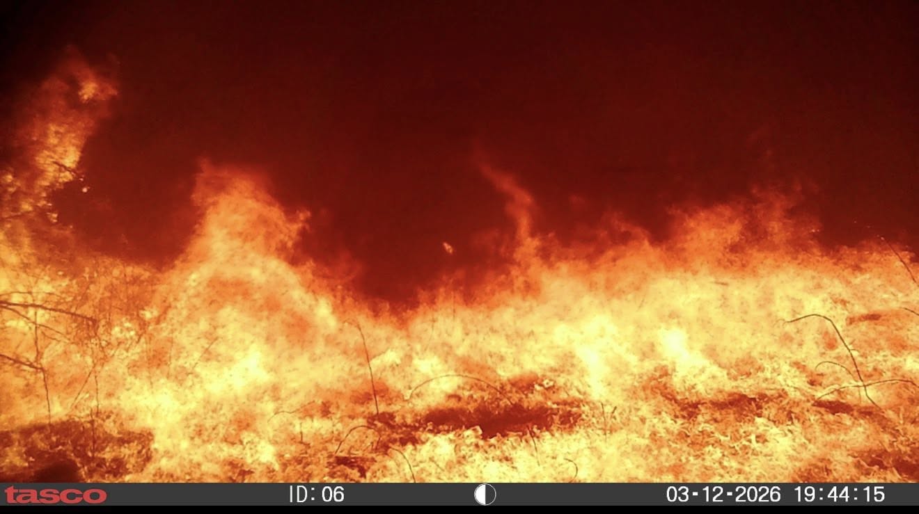 A trail camera went through one of the Nebraska wildfires on March 12, 2026