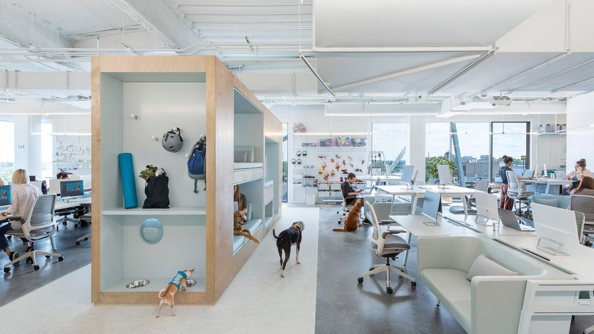 20 cool office designs