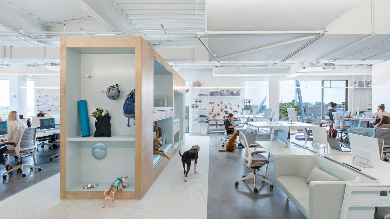 20 cool office designs