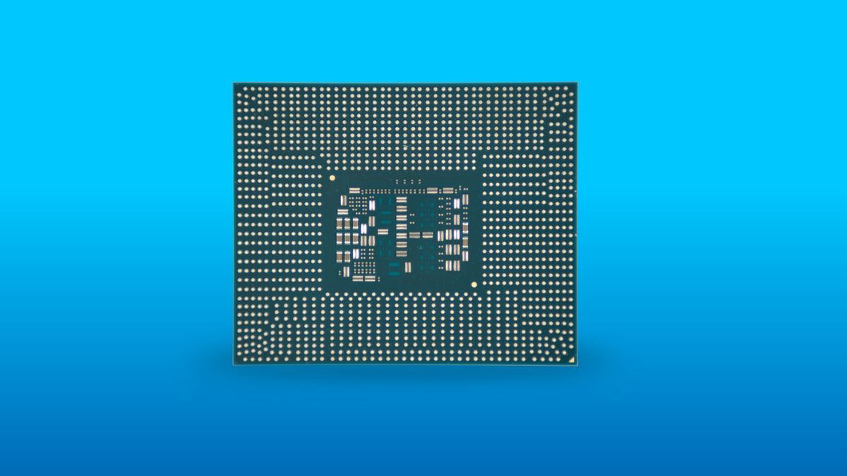 Intel Server GPU