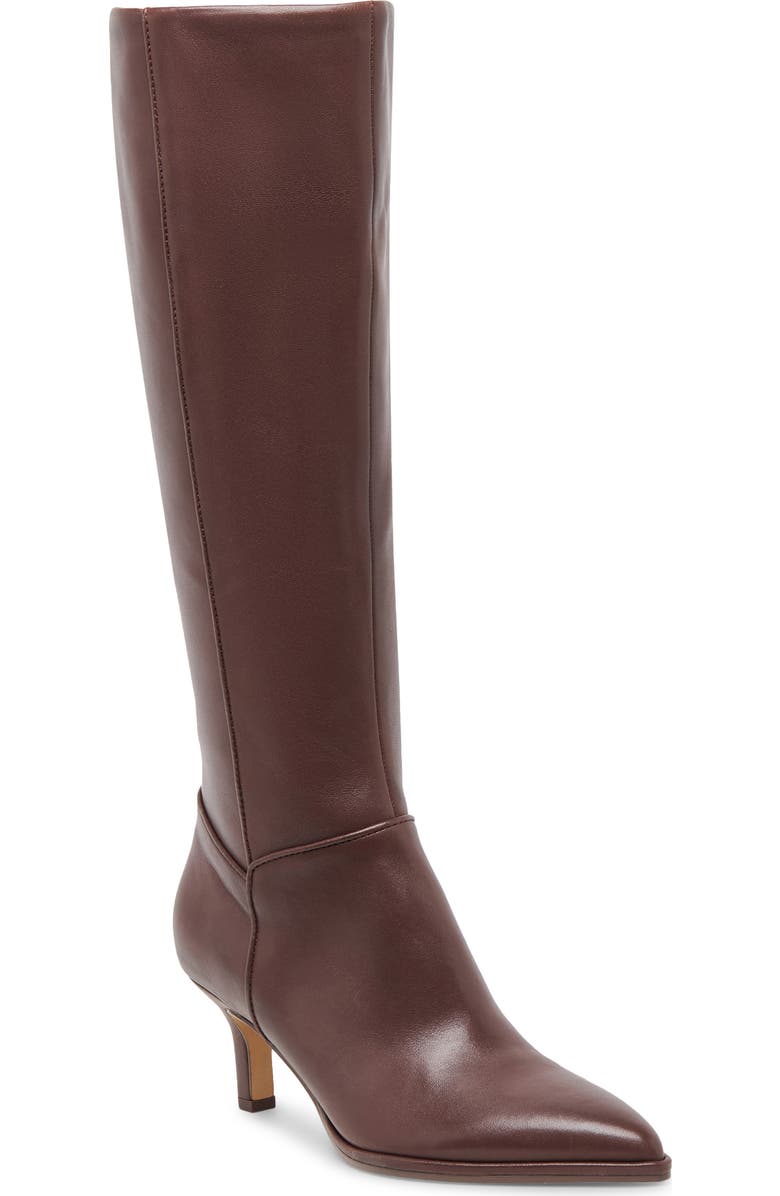 Aldy Pointed Toe Knee High Boot